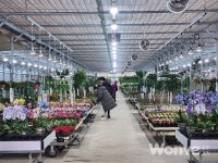 딱 요즘 취향이라는 그 곳,  에르베플라워