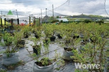 쉐프가 만든 힐링 가득한 사과체험농장!