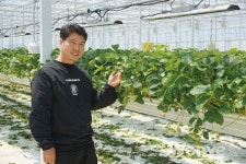 첨단 자재를 활용한 딸기 스마트팜, 베베스팜