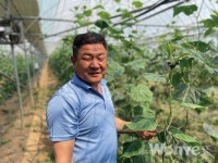 무농약 오이 재배 8년...친환경 농산물 유통 채널 부족 아쉬워