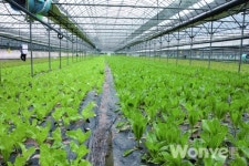 이해극의 미련해서 행복한 농부 ㉗