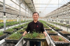 네잎클로버 전 세계 수요 급증,  높은 소득으로 안정적인 생산 가능