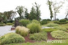 풀에 숨겨진 아름다움, 억새속