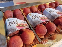 청정 자연의 햇살과 바람으로 빚어낸 흑곶감