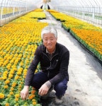 대한민국 화훼산업의 개척자 화훼 명인