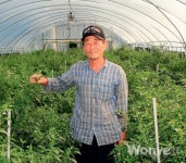 반세기 꽈리고추의 명성 영속적으로 이어갈 것