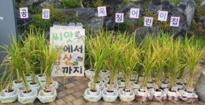 양주시농업기술센터,  꼬마농부학교 도시농업 교육  큰 성과