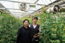 컴퓨터공학과 여신, 장미 농부로 변신