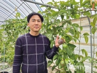 즐거운 소통으로 미래 농업 선도하는 장성 아열대청년마을