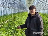 청년농부가 키운 달콤탱글한 고품질 방울토마토