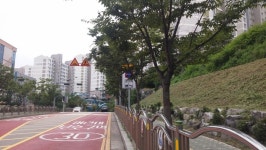 신기마을 들국화둔덕 민원으로 민둥산