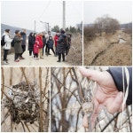 대야미천의 물은 어떻게 정화될까요?