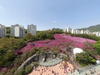 하늘에서 내려본 군포철쭉축제