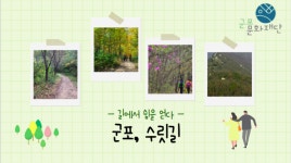 군포 수릿길에서 쉼을 얻다