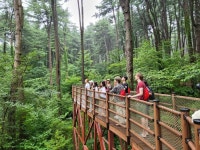 글로벌 인플루언서들, 30일 장흥 우드랜드에서 디지털 디톡스