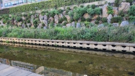 산본천 복원을 위한 구파발천, 심곡천 답사기