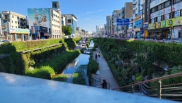 산본천 복원을 위한 구파발천, 심곡천 답사기