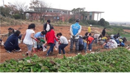 주민과 함께하는 농촌체험 성료