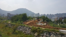 행운 상징 칠자화 테마공원 조성