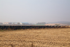 겨울철 보리 재배 관리 방법은?