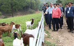 산지생태축산 국내서도 가능할까?