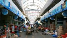 부산시 사상구 부산새벽시장 FunFun한 토요장터