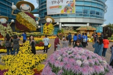 동구, 제3회 동구 국화문화축제 개최