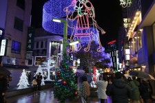 트리문화축제, 내달 2일 광복로서 개막
