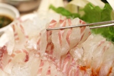 여수 맛집 전국5대횟집 사계절 횟집 겨울철 보양식 하모와 함께 신선한 자연산 활어회 제공