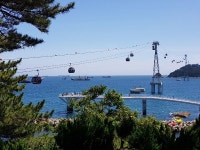 대박 행진 송도해상케이블카, 특혜냐 복덩이냐