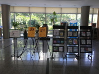 해운대도서관 로알드 달과 퀜틴 블레이크 전시회