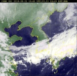 [오늘 날씨&태풍 제비]남해안 시간당 20mm 이상 강한 비 가거도173.5,광양119,김해117…태풍 제비 일본에만 영향 줄 듯