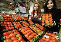 [유통소식] 메가마트, 제철 맞은 지리산 산청딸기 맛보세요