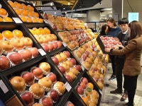 부산 유통가, 설 선물세트 판매 청신호