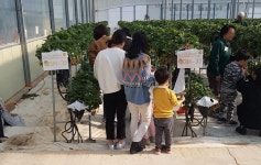 부산 금정구 드림스타트, 딸기 농장·동물농장 체험 프로그램 실시