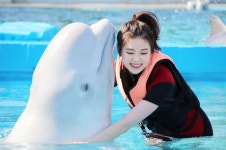 거제씨월드, 비씨카드와 함께하는 여름맞이 무료항공권 이벤트 마련