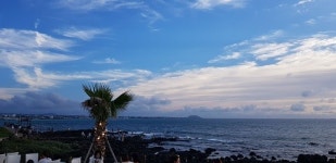 새로운 제주애월맛집 하갈비, 하이흑돼지정찬. 하복 흑돼지&전복요리 전문점