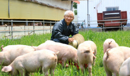 보라매공원 맛집 월화고기, 친환경 동물복지 성지농장 고기 사용