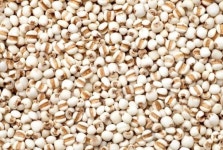 율무 효능및부작용 피부에 좋아 율무팩을 만들어 이용하는 사람이