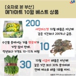 [숫자로 본 부산]메가마트 10월 베스트 상품