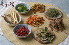 약초 카페 용하당, 간에 좋은 영양제 및 음식처럼 마시는 차 효능 소개