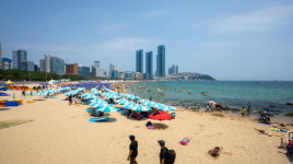 해운대·송정해수욕장 관리할 공단 설립 추진