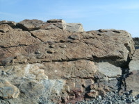 부산 기장군, 일광면 신평소공원 해안가서 공룡발자국 발견