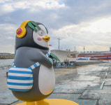 [포토]민락수변공원에 뜬 펭수, 사회적 거리두기 실천 하실꺼죠? 펭펭펭!