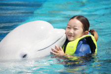 거제씨월드, 비씨카드와 함께하는 제주도 항공권 이벤트 실시