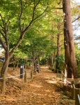 연제구 친환경 산책로 조성