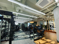 [HOT 스타트업 #27] 피트니스 업계의 선구자 역할, 제가 하겠습니다