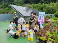 [포토] 부산 중구 대청동 옥상서 채소 수확