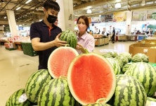 [포토] 메가마트 고당도 씨없는 수박 맛보세요