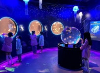 1000여마리 해파리 볼 수 있는 곳… 씨라이프 부산 아쿠아리움